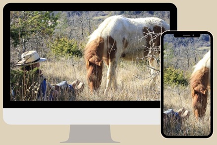 horsepark